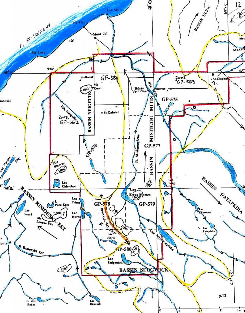 Squatex Exploration Permits in 2002 (Request Map)